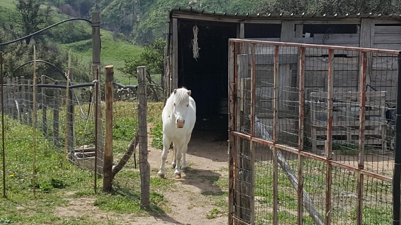 Mama Lina Villa Patti Bagian luar foto